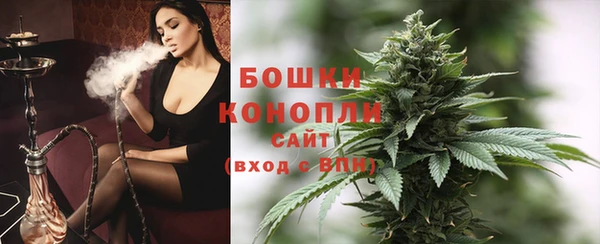 прущие грибы Белоозёрский