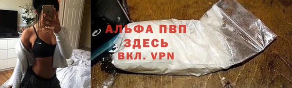 прущие грибы Белоозёрский