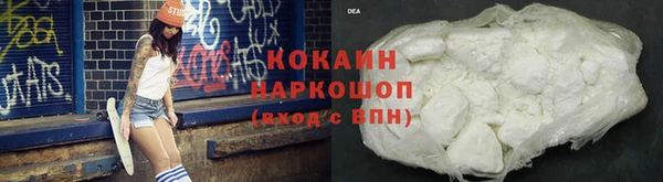 прущие грибы Белоозёрский