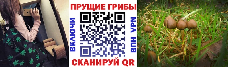 Галлюциногенные грибы GOLDEN TEACHER  Жуковский 