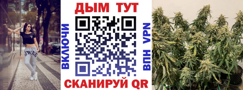 нарко площадка клад купить закладку Жуковский Бошки Шишки семена